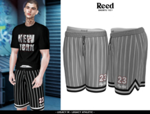 REED - TREY SHORTS GRAY STRIPES