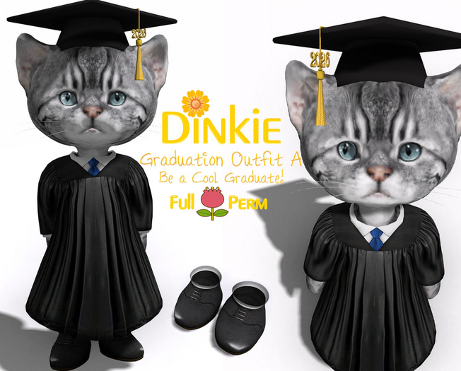 - Full Perm - Dinkie #15 Graduation Outfit A