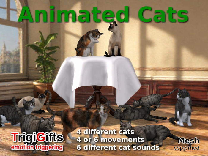 Cat (cats)