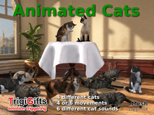 Cats