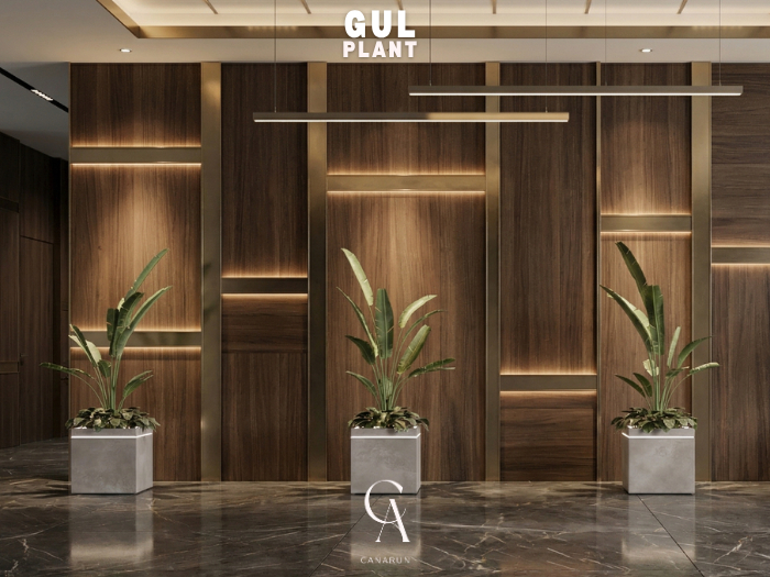 Gul Decor Plant - CANARUN - (Rezzme)