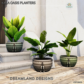 DD Kala Oasis Planters