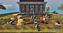 Farm- Cow/Sheep/Alpaca Enclosure Package