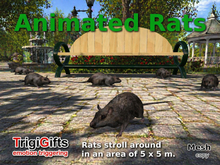 Rats (Rat)