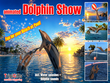 Dolphin (Dolphins Show)