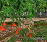 Farm-Veggie Garden w/Rabbits 27LI (Garden alone 10LI)REZBOX