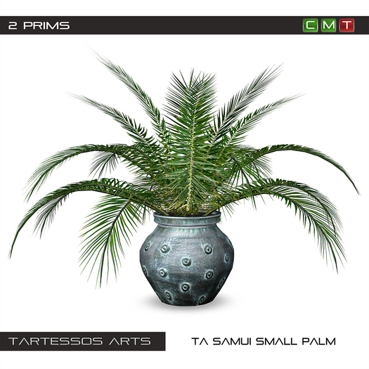 ::TA Samui Small Palm