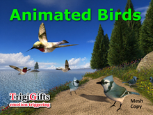 Birds
