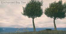 Tree by Little Branch