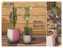 CHEZ MOI Moonrise Plant Set