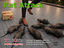 Rats