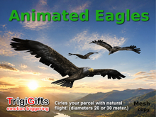 Eagles