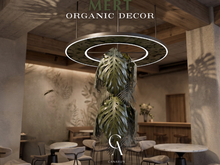 Mert Organic Decor - CANARUN - (Rezzme)