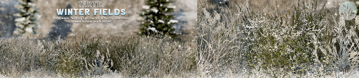 tarte. winter fields