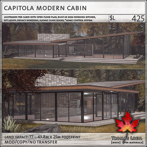 Trompe Loeil - Capitola Modern Cabin [mesh]