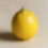 GACHA CITRON