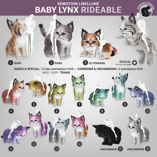 SEmotion Libellune Baby Lynx Rideable COMMON 07