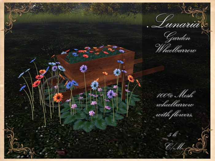 .Lunaria. Garden Wheelbarrow 