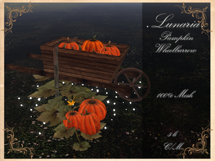 .Lunaria. Pumpkin Wheelbarrow 