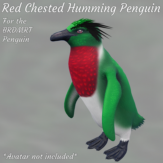 Red Chested Humming Penguin