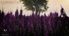  Fireweed Field Animated by Little Branch
