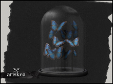 Ariskea[Vessel]  Morpho Glass Decor