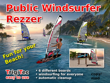 Windsurfer