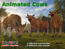 Cows (Cow)