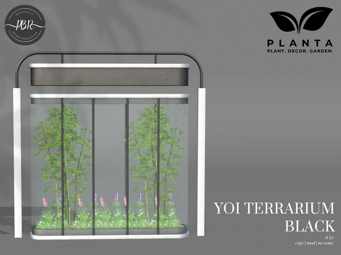 Planta - Yoi Terrarium Black
