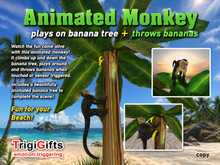 Monkey