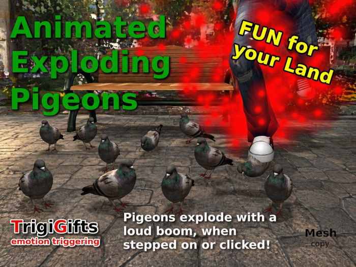 Pigeons (Pigeon)