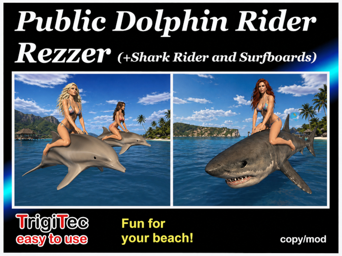 Dolphin