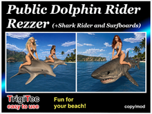 Dolphin