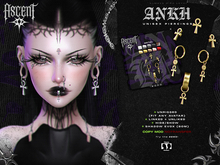 ASCENT - Ankh Piercings