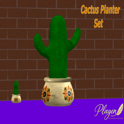 Cactus Planter Set   - PLAGEN  (ADD)