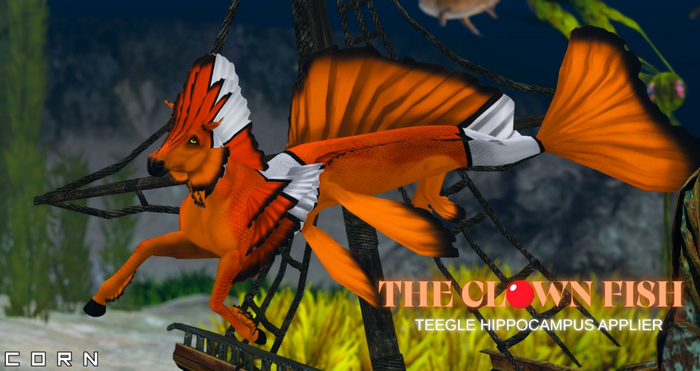C O R N - CLOWN FISH HIPPO