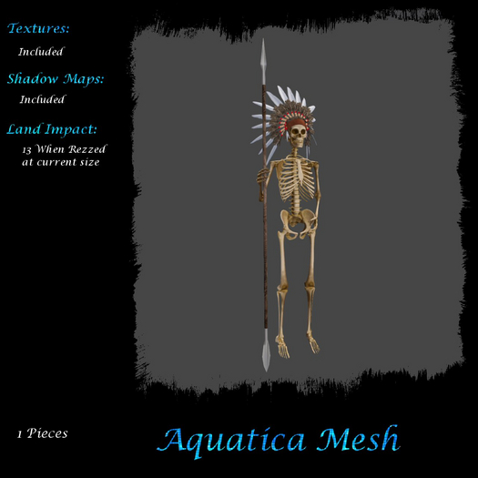 Aquatica Mesh - AMEE20250435 Native American Skelly
