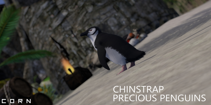 C O R N - CHINSTRAP PRECIOUS PENGUINS