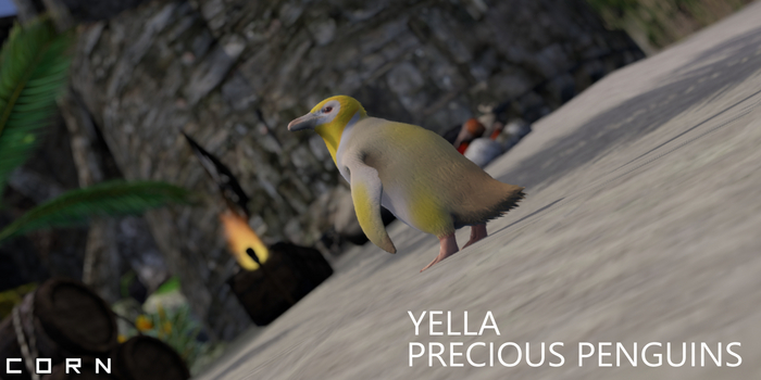 C O R N - YELLA PRECIOUS PENGUINS