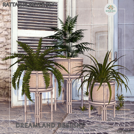 DD Rattan Planter Set