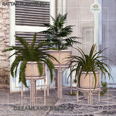 DD Rattan Planter Set