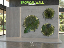 Tropical Wall Concrete - CANARUN - (Rezzme)