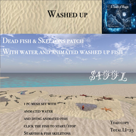Dead & dying fish & skeletons beach patch-Box LI=23