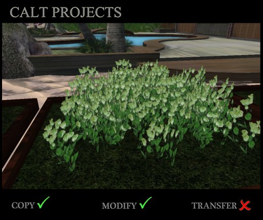 BOX Sculpt Lisianthus New MOD 2.01