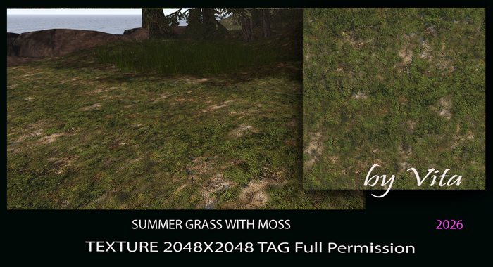 Vita's 3D Ground Textures - SUMMER GRASS WITH MOSS 2026
