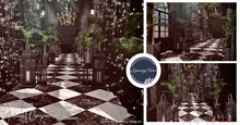 SYNNERGY.TAVIS//Midnight Conservatory {360} Backdrop