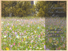 .Lunaria. Fairy Rainbow Meadow 