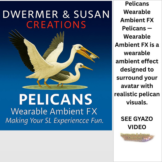 Birds - Pelican
