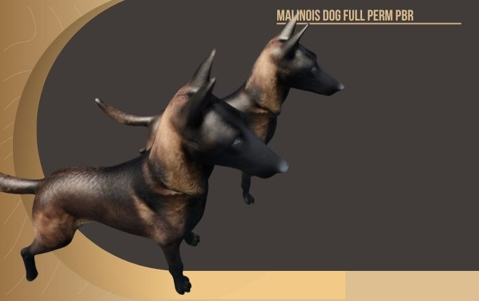 Malinois Dog Full Perm PBR