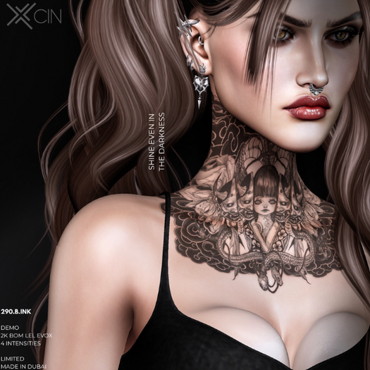 CIN// 290.B.INK